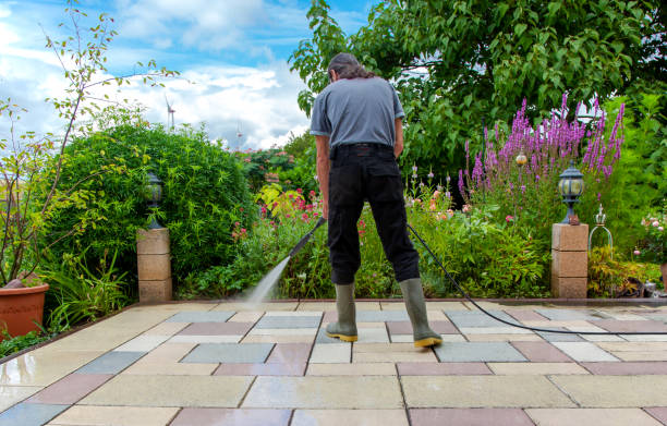 Best Pre-Holiday Cleaning  in Green Island, NY